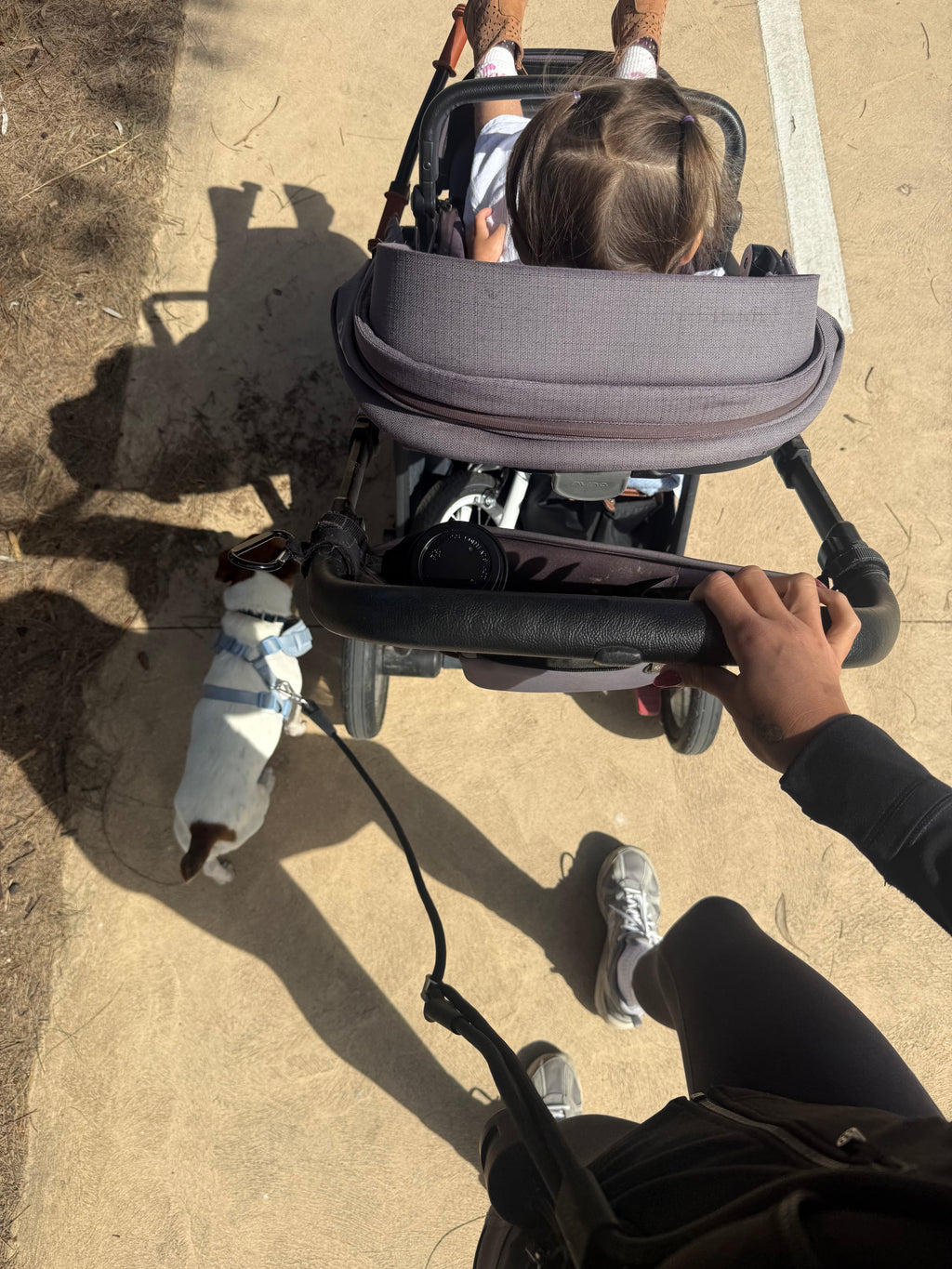 Classic black- hands-free leash