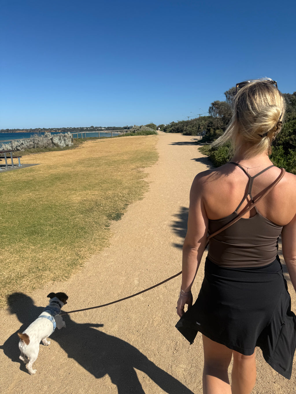 Cocoa dune hands-free leash