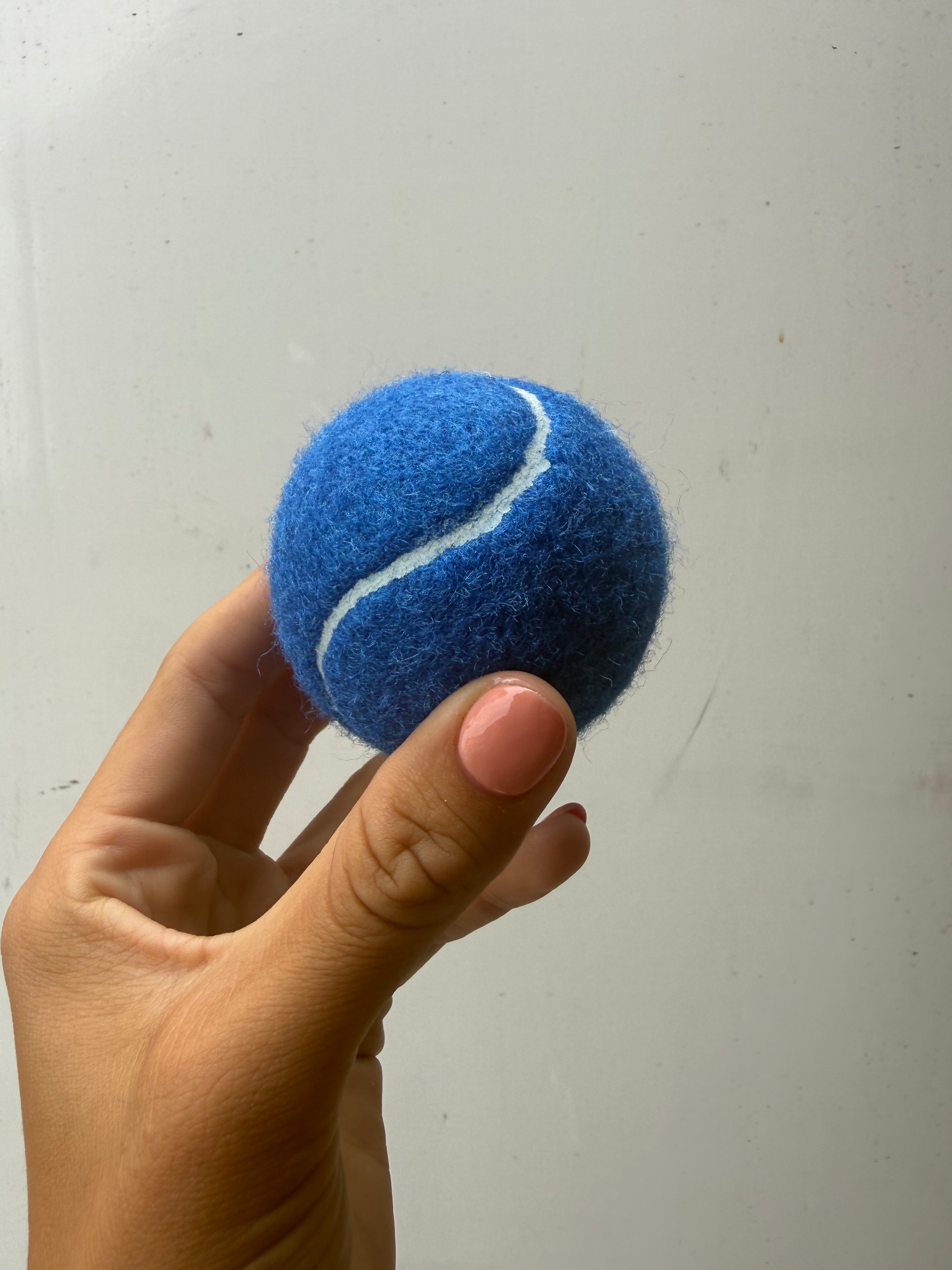The Looped fetch ball (blue)